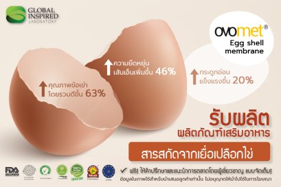 สารสกัดจากเนื้อเยื้อเปลือกไข่