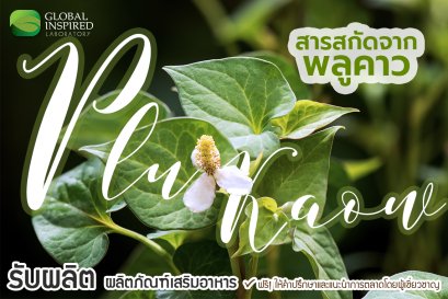รู้จักสารสกัดจาก "พลูคาว"
