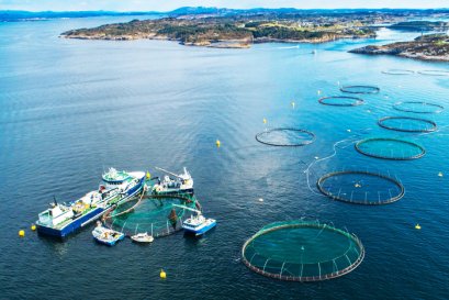 การบริหารห่วงโซ่อุปทานอาหารทะเลสู่ความยั่งยืนภายใต้กลยุทธ์ SeaChange® 2030 Sustainable Seafood Supply Chain Management under the SeaChange® 2030 Strategy