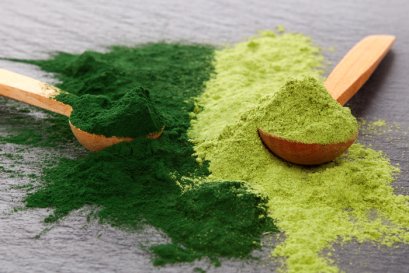 เปลี่ยนโลก อุตสาหกรรมโปรตีนทางเลือกไทยด้วยพลังเทคโนโลยี Transformative Technologies Shaping Thailands Alternative Protein Industry