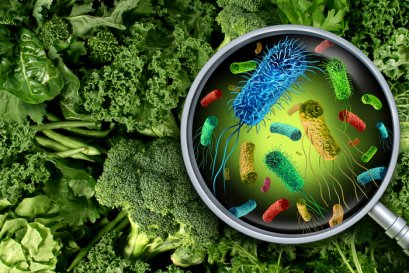 Positive Impacts of Efficient Spoilage Control in Food Manufacturing