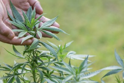 The Most Recently Enforced Regulations