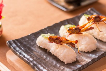 Future Food Trend Insight for Food Industry and Food Business     