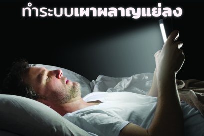 งานวิจัยพบ… โดนแสงรบกวนตอนนอน ทำระบบเผาผลาญแย่ลง!