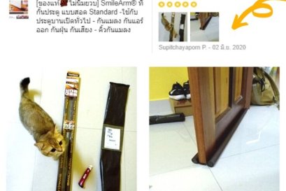 Standard แบบสอด สีน้ำตาล