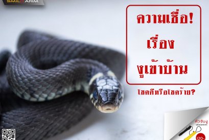 ความเชื่อเรื่องงูเข้าบ้าน