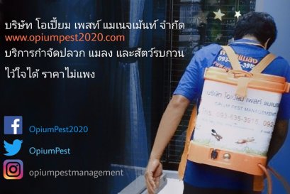 แจ้งช่องทางการติดต่อต่างๆ ของบริษัท โอเปี้ยม เพสท์ แมเนจเม้นท์ จำกัด 