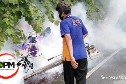 เป็นโรคไข้เลือดออกแล้วกว่าหมื่นคน