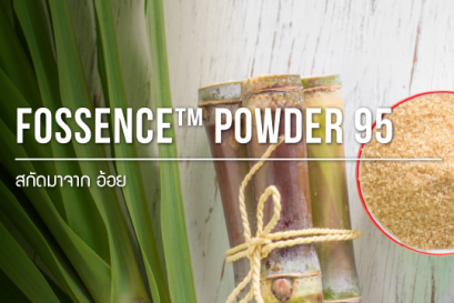 Fructo oligosaccharide / ฟรุกโต โอลิโกแซคคาไรด์