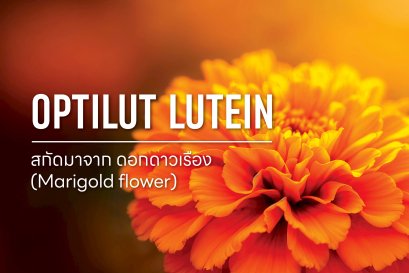Optilut Lutein / ดอกดาวเรือง