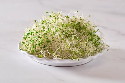 Alfalfa Extract สารสกัดพืชในตระกูลถั่ว