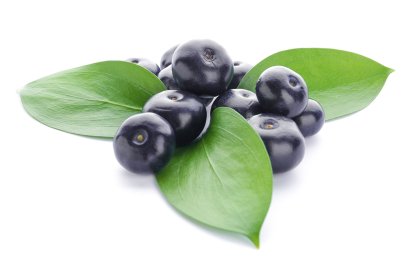 ACAI BERRY EXTRACT  (Food Grade)