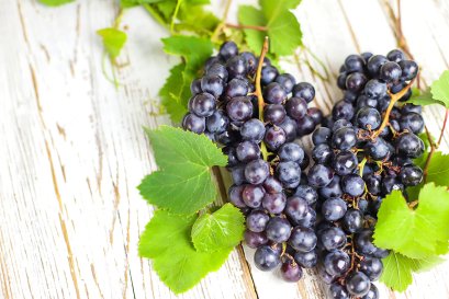 Grape Seed Extract (Food Grade) 