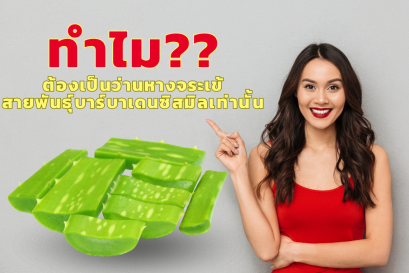 ทำไม?? ต้องเป็นว่านหางจระเข้ สายพันธุ์บาร์บาเดนซิสมิลเท่านั้น