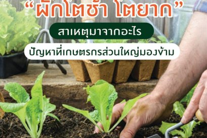 ปัญหาผักโตช้า โตยาก!!!