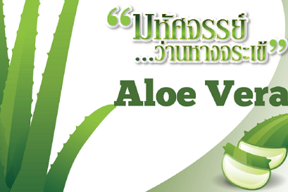 aloe vera