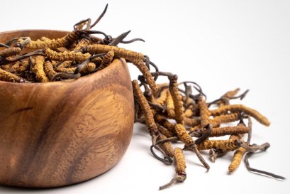 ถั่งเช่าดีอย่างไรคนถึงนิยมทานกัน? 