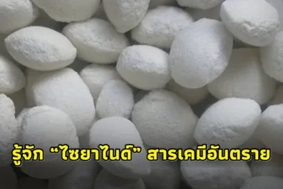 Cyanide สารอันตราย ความเสี่ยง และวิธีการรับมือ
