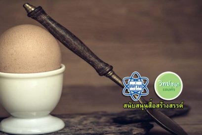 วิทย์ของการต้มไข่