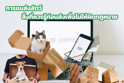 การขนส่งสัตว์ สิ่งที่ควรรู้ก่อนส่งเพื่อไม่ให้ผิดกฎหมาย