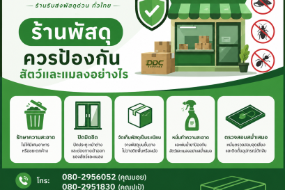 ร้านพัสดุควรป้องกันสัตว์และแมลงอย่างไร 