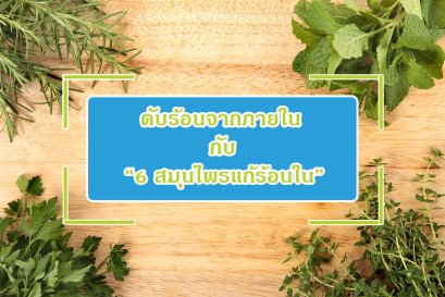 ดับร้อนจากภายในกับ “6 สมุนไพรแก้ร้อนใน” 
