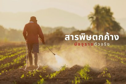 สารพิษตกค้าง มัจจุราชตัวจริง