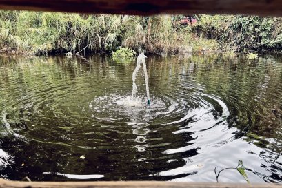 มีแต่ทุกข์ แต่มองไม่เห็นเหตุแห่งทุกข์