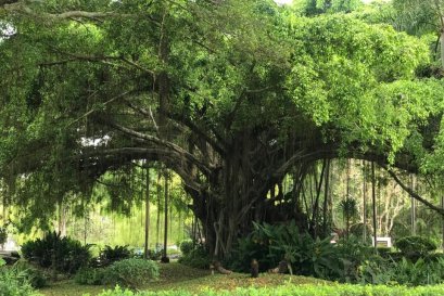 มีคนจำนวนมาก ที่ไม่รู้ว่า”สมาธิ”เปลี่ยนชีวิตได้