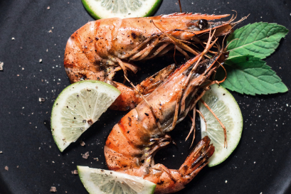 Lorem ipsum dolor sit amet, pri et feugiat consulatu.