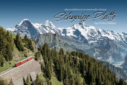 ยอดเขาฉนีเก ปลาดเต่ (Schynige Platte)