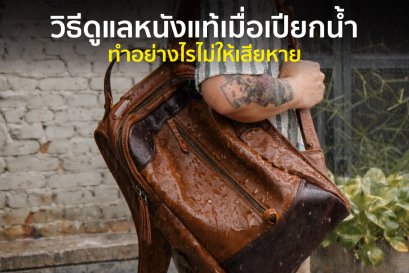 วิธีดูแลหนังแท้เมื่อเปียกน้ำ ทำอย่างไรไม่ให้เสียหาย