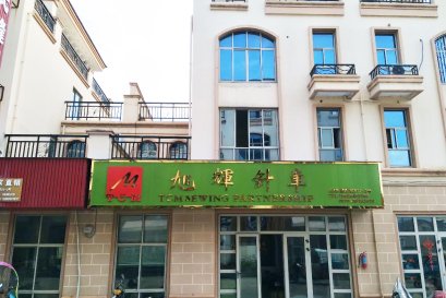 สาขาที่จีน