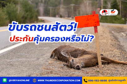 ขับรถชนสัตว์ ประกันคุ้มครองหรือไม่?