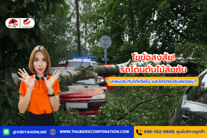 รถโดนต้นไม้ล้มทับ เคลมประกันได้หรือไม่ และใครต้องรับผิดชอบ?