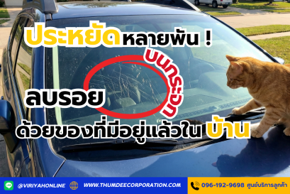 ประหยัดหลายพัน  ลบรอยขนแมวบนกระจก ด้วยของที่มีอยู่แล้วในบ้าน