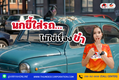 นกขี้ใส่รถไม่ใช่เรื่องขำ! ปล่อยไว้สีพังจริงไหม?