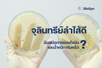 จุลินทรีย์ลำไส้ดี มีผลต่อการย่อยไขมันและน้ำหนักจริงหรือ?