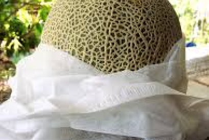 การเกษตรที่ใช้ PP Spunbond Nonwoven