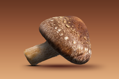 Shiitake Extract (สารสกัดเห็ดหอม)
