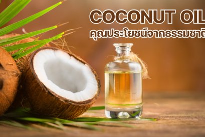 Coconut Oil คุณประโยชน์จากธรรมชาติ
