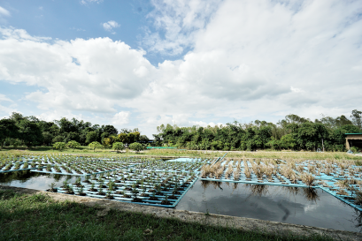 ขยะสิ่งของเหลือใช้ ไร้ผู้เหลียวแล