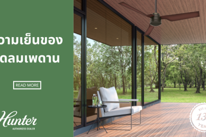 ความแรงพัดลมเพดาน