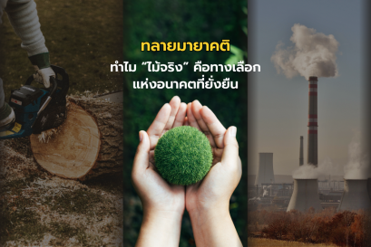 ไม้จริงทางเลือกแห่งอนาคตที่ยั่งยืน