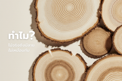 ทำไมไม้จริงถึงมีลายไม่เหมือนกัน?