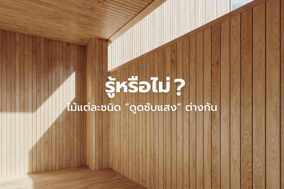 รู้หรือไม่ว่าไม้แต่ละชนิด ดูดซับแสง ต่างกัน?