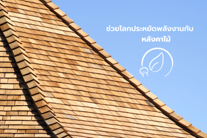 ช่วยโลกประหยัดพลังงาน ด้วยหลังคาไม้