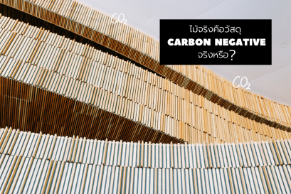 ไม้จริงคือวัสดุ Carbon Negative จริงหรือ?