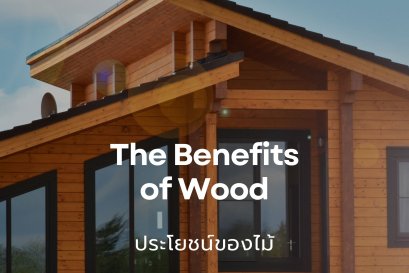 The Benefits of Wood  ประโยชน์ของไม้