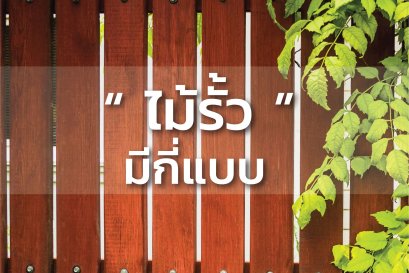 ไม้รั้วมีกี่แบบ